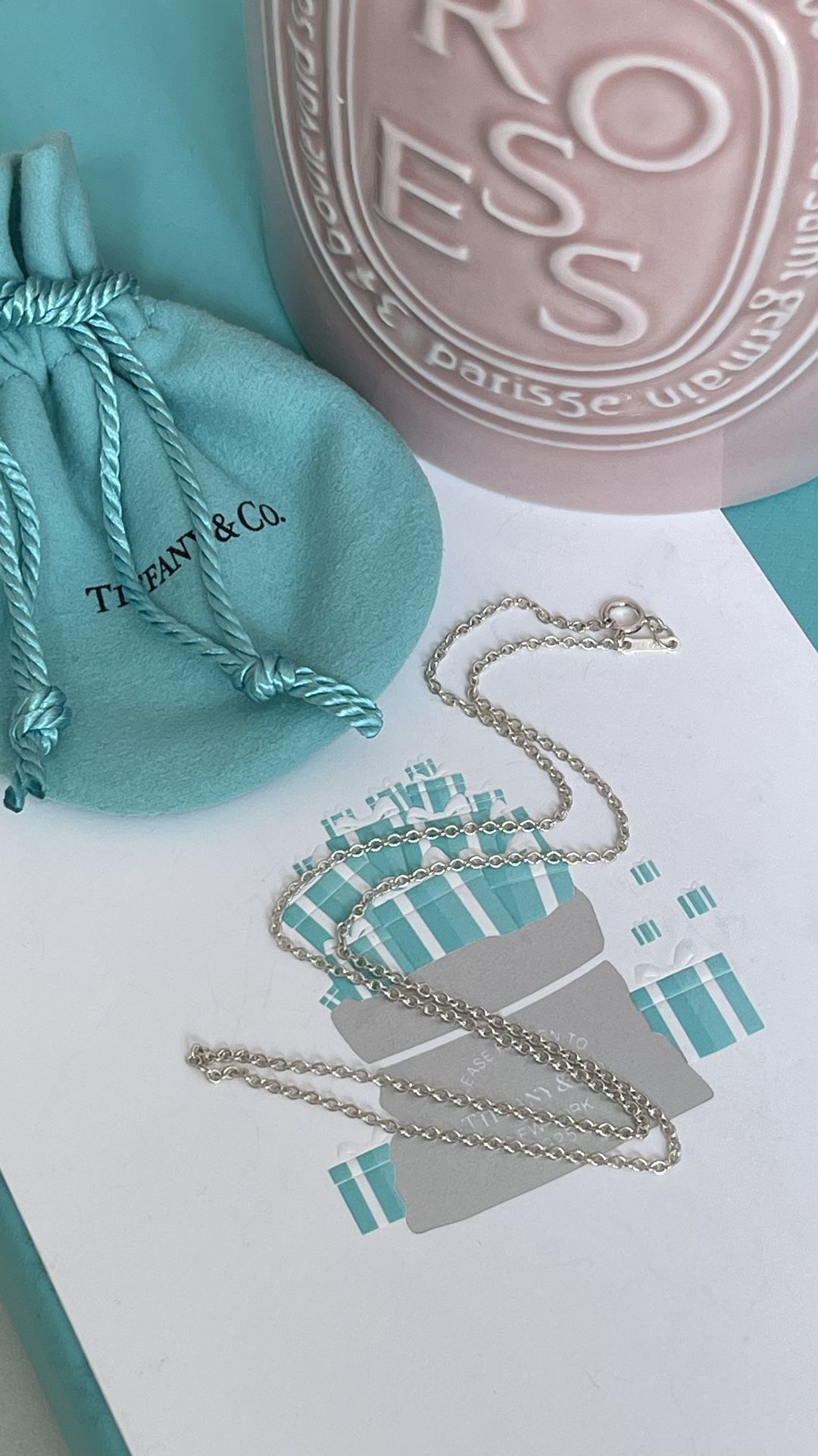 Tiffany & Co. Elsa Peretti Necklace in Sterling Silver 17” NEW