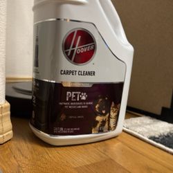A Carpet Cleaner For Your Pet