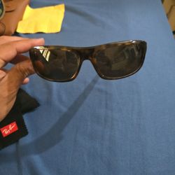 Ray-Ban 4166 Sunglasses 