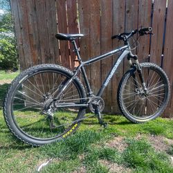 Mountain Bike 29”