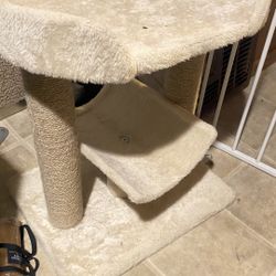 Cat Climb 