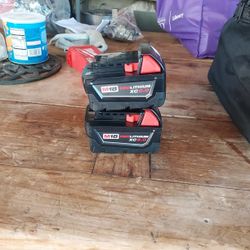 Milwaukee
M18 18-Volt Lithium-lon XC
Extended Capacity 5.0 Ah
Battery Pack (2-Pack)