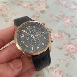 Rare Citizen Eco-Drive Limited Edition Radio Controlled World Chronograph Watch