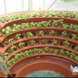 Hydroponic Vertical Growth System