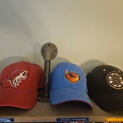 21 NHL Team Hats