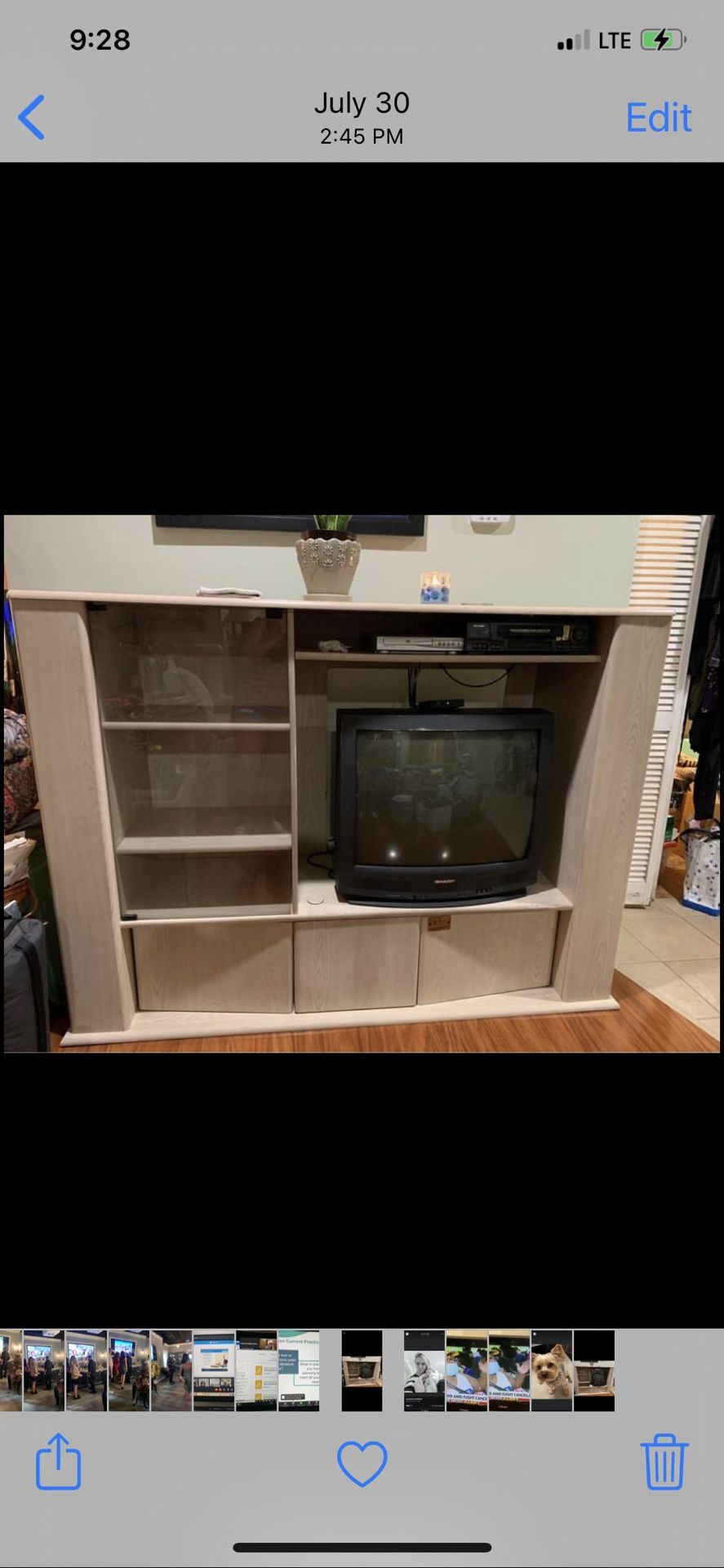 Sauder Entertainment Center