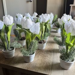 7 & 8 inch tall potted flocked mixed greenery Christmas plant arrangement •	Artificial construction •	White plastic square pot and glass round  pot . 