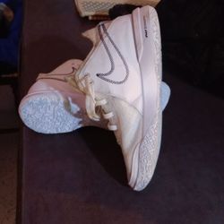 Nike LeBron James Size 11 Men's 