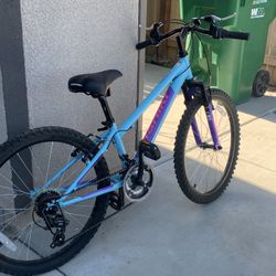 New Nishiki bike 24’