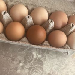 Eggs/ Huevos