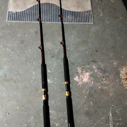 80 Lb Boat Fishing Poles 