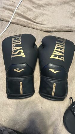 Everlast boxing gloves
