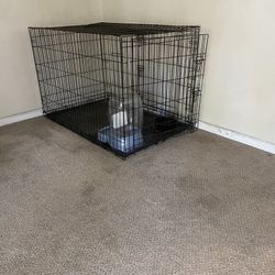 Midwest Dog Crate XXL with 30lbs Bag Of Dog Food And  3 Gallon Water Dispenser
