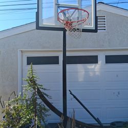 Lifetime Basketball Court Hoop 