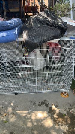 Bird cage