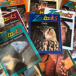 Zoo Book Animal Magazines