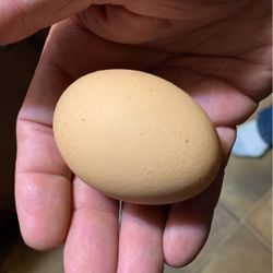 Looking For Help