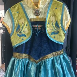 Disney Princess Dress / Costume 