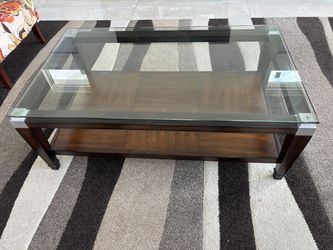 Modern Glass Top Coffee Table with Storage Shelf