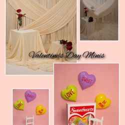 Valentine's day minis