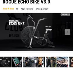 Rogue Echo Bike 