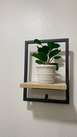 Shelf