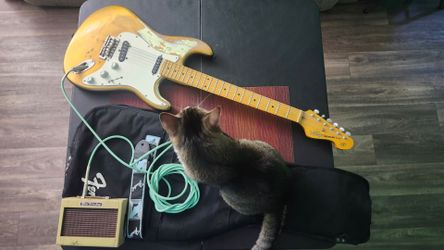 Strat style vintage reissue series v6