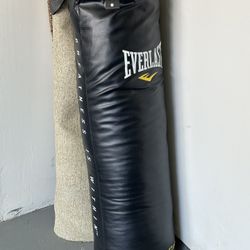 Everlast Power Core 100 lb. heavy bag