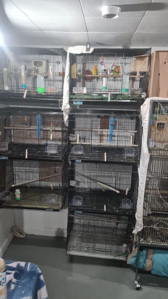 Breeding Bird Cages