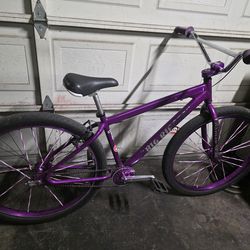29" SE Purple Rain Big Ripper