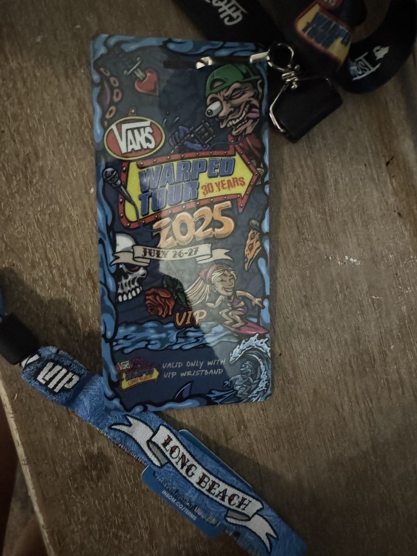 VIP Warped Tour