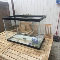 20 Gallon Fish Tank