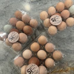 Fresh Chicken Eggs