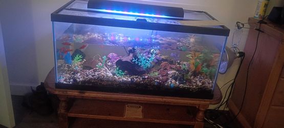 Apartment moving sale