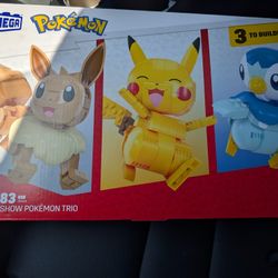 Pokemon Mega blocks build and show trio