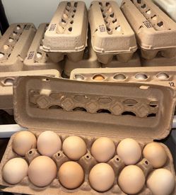 Farm Fresh Eggs
