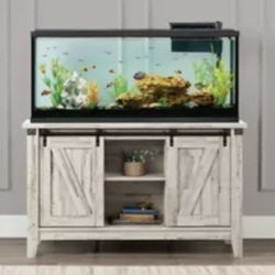 Fish Tank