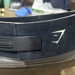 Gym shark lever belt