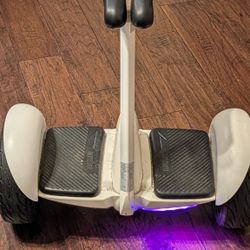Ninebot Segway 