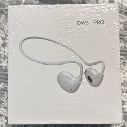 Earbuds