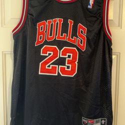 Nike Team Jordan Jersey 