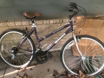 Female adult bike.