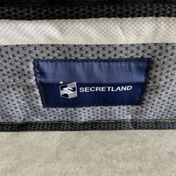 Queen Size Mattress (no Stains)