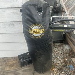 Punching Bag 