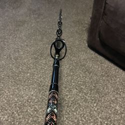 Custom Saltwater Fishing Rod 