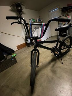 Mongoose