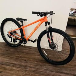 2023 Specialized Orange Tilt