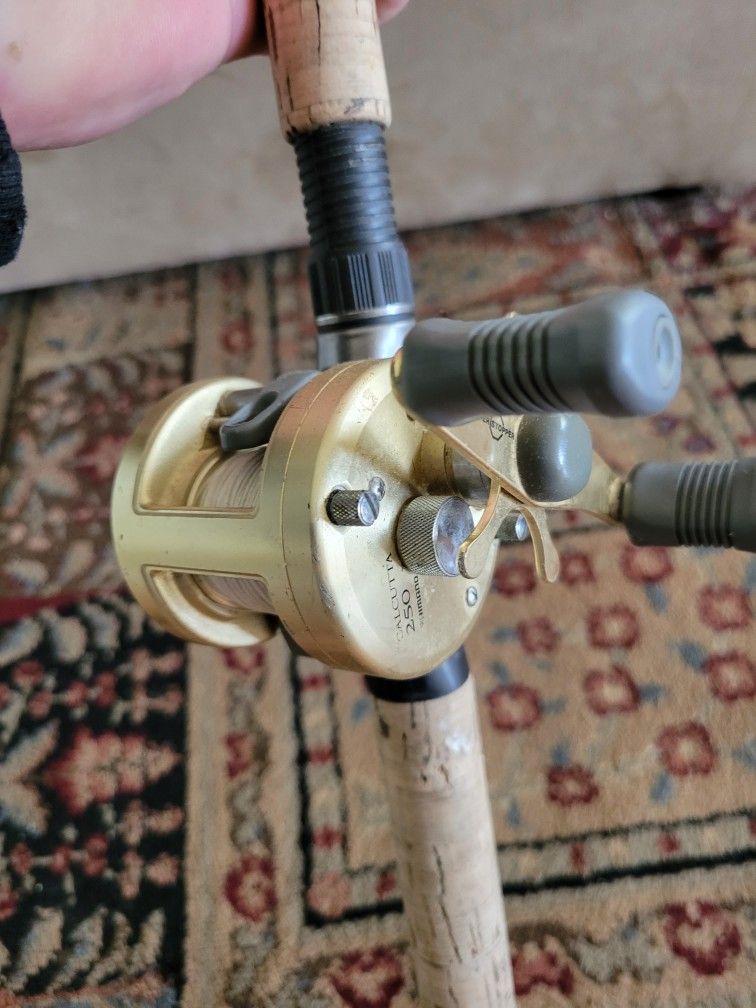 Shimano 250 Teramar 8' 12-25