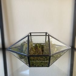 Glass Terrarium Decor