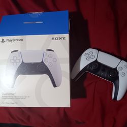 Ps5 Controller 